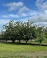 LC-4169 - petite photo n°10 de ce logement curiste
