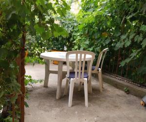 Photo Dans rue calme au centre ville T2 66m²  en rez de jardin avec tonnelle 