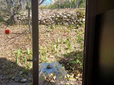 Photo n°1 du logement curiste LC-4187 à Gréoux-les-Bains