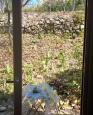 LC-4187 - petite photo n°1 de ce logement curiste