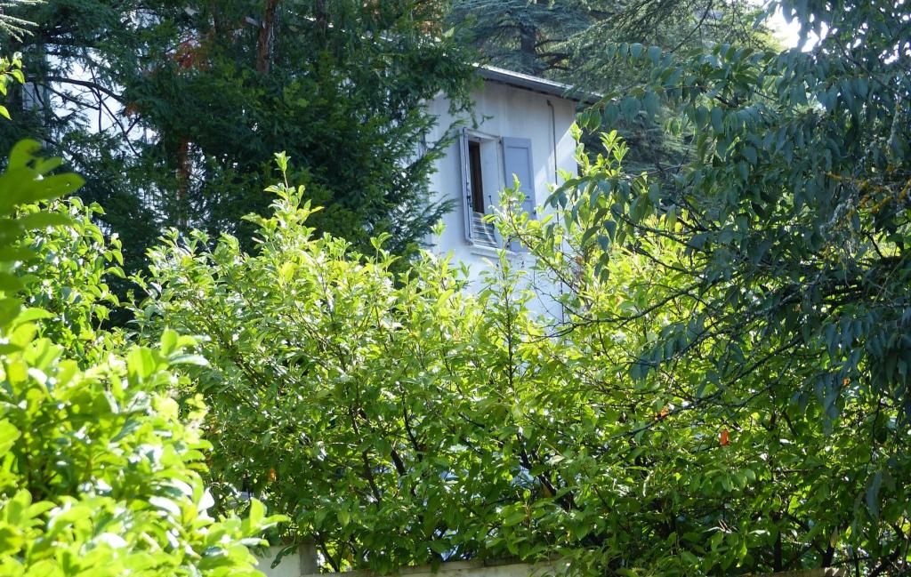 Digne-les-Bains - location curiste LC-4203 n°1