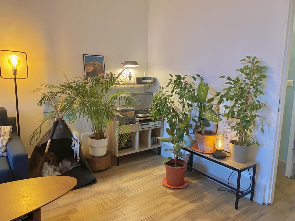 Balaruc-les-Bains - location curiste LC-4204 n°13