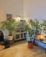 LC-4204 - petite photo n°13 de ce logement curiste
