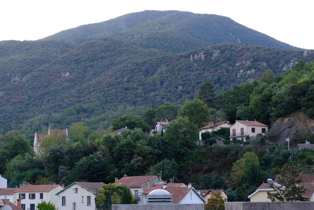 Amélie-les-Bains - location curiste LC-4221 n°1