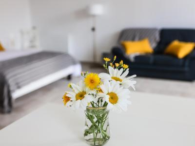 Photo n°1 du logement curiste LC-4222 à Rouffignac