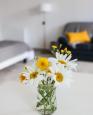 LC-4222 - petite photo n°1 de ce logement curiste
