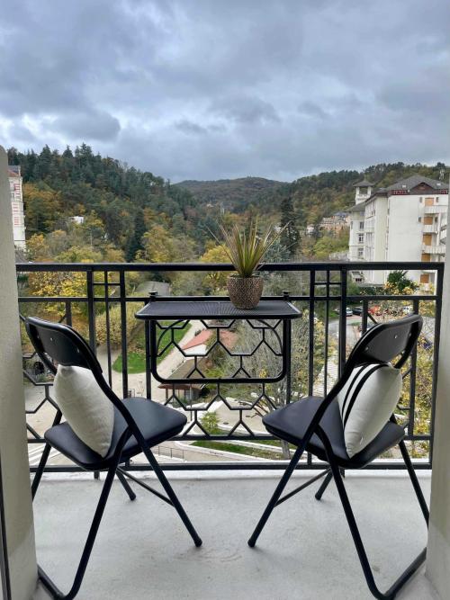 Châtel-Guyon - location curiste LC-4239 n°17