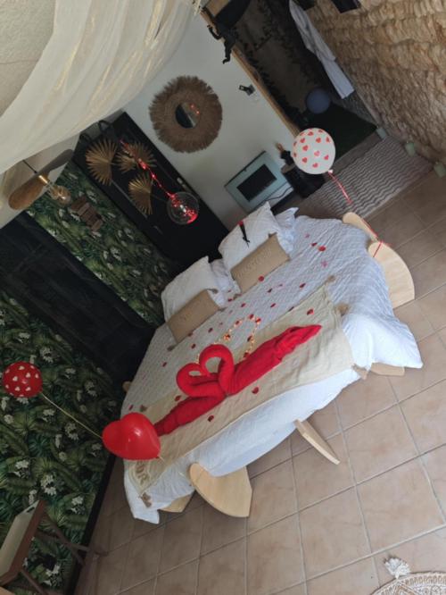 Saint-Genis-de-Saintonge - location curiste LC-4247 n°12