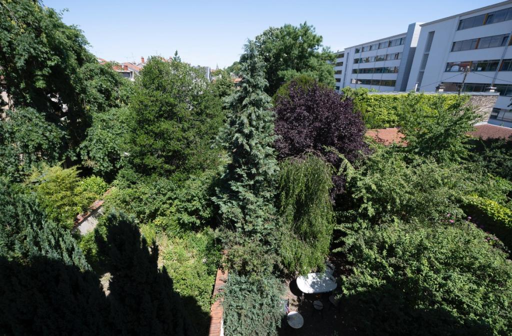 Nancy - location curiste LC-4281 n°6