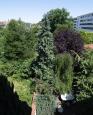 LC-4281 - petite photo n°6 de ce logement curiste