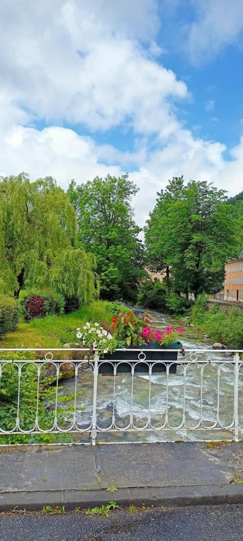 Aulus-les-Bains - location curiste LC-4286 n°15