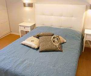 Photo Grand T2 face à la cure d'Aulus les Bains