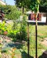 LC-4290 - petite photo n°12 de ce logement curiste