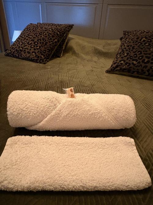 Aix-les-Bains - location curiste LC-4302 n°8