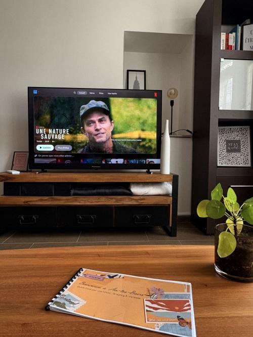 Aix-les-Bains - location curiste LC-4302 n°12