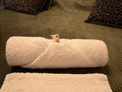 Photo n°8 du logement curiste LC-4302 à Aix-les-Bains