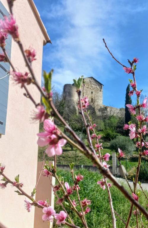 Gréoux-les-Bains - location curiste LC-4327 n°2