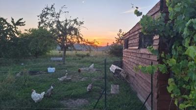 Cusset - location curiste LC-4381 n°16