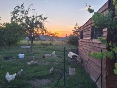 Photo n°16 du logement curiste LC-4381 à Cusset