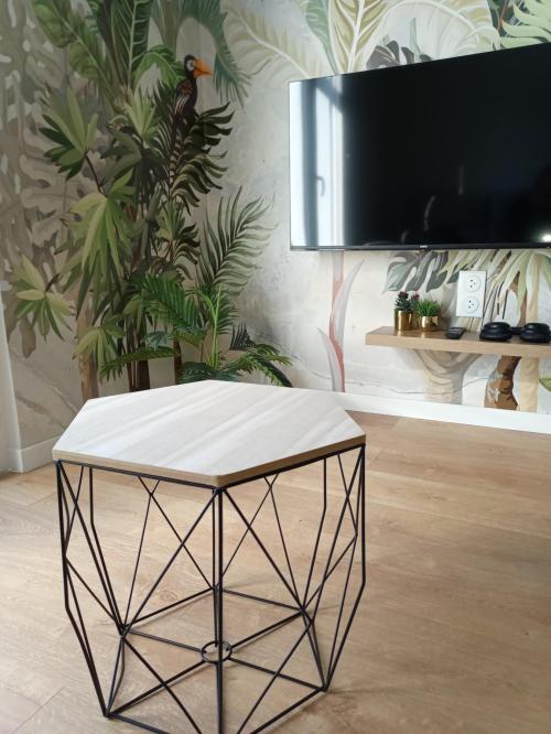 Lamalou-les-Bains - location curiste LC-4395 n°8