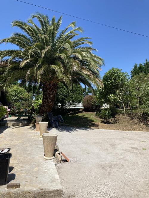 Heugas - location curiste LC-4397 n°19