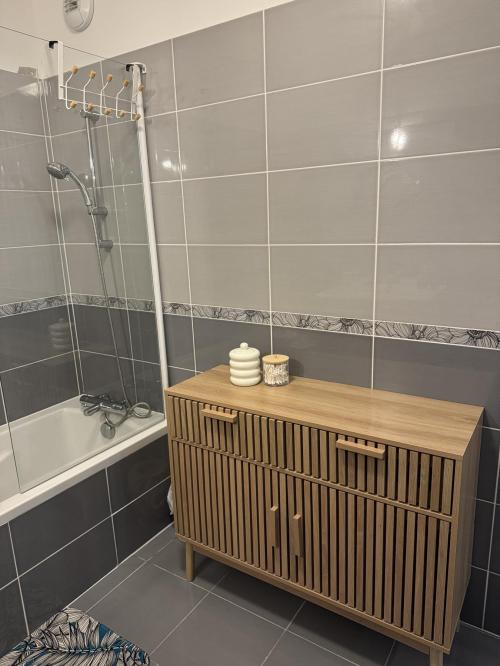 Aix-les-Bains - location curiste LC-4411 n°1