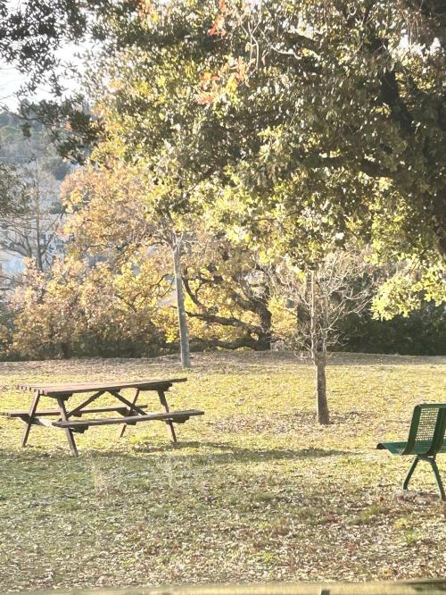 Gréoux-les-Bains - location curiste LC-4412 n°17