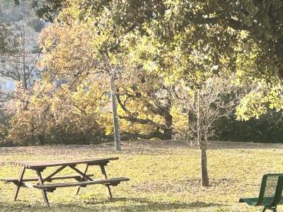 Photo n°17 du logement curiste LC-4412 à Gréoux-les-Bains