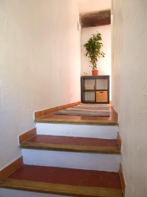 Gréoux-les-Bains - location curiste LC-4413 n°10