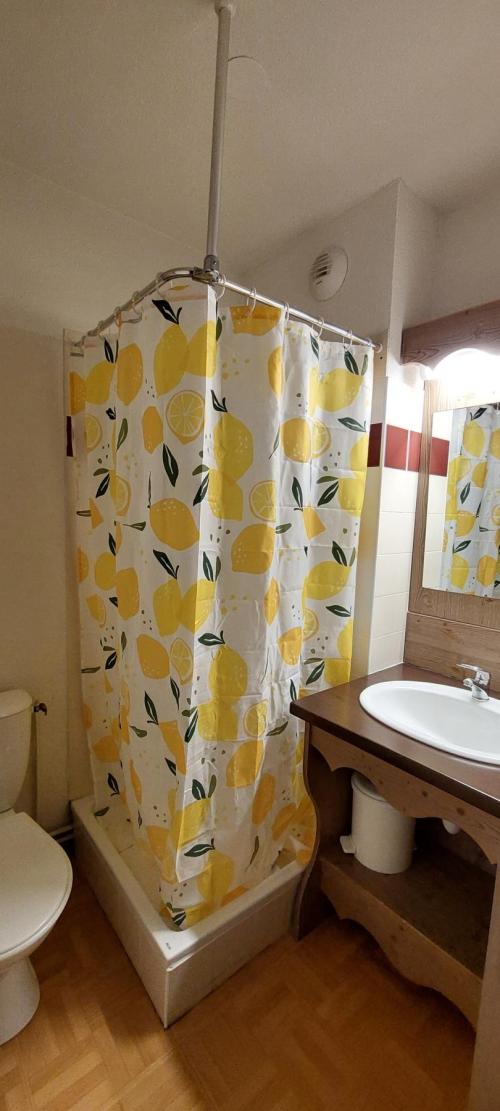 Chamrousse - location curiste LC-4414 n°1