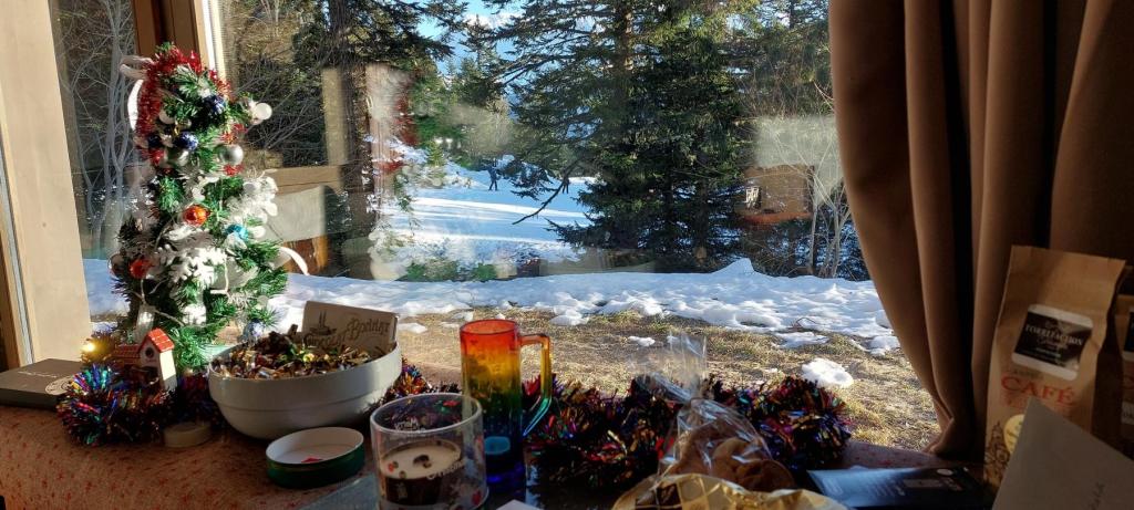 Chamrousse - location curiste LC-4414 n°4