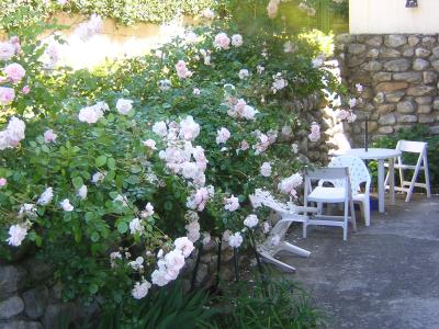 Photo n°10 du logement curiste LC-4427 à Vernet-les-Bains