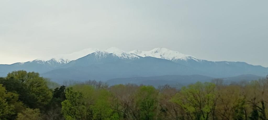 Amélie-les-Bains - location curiste LC-4449 n°11