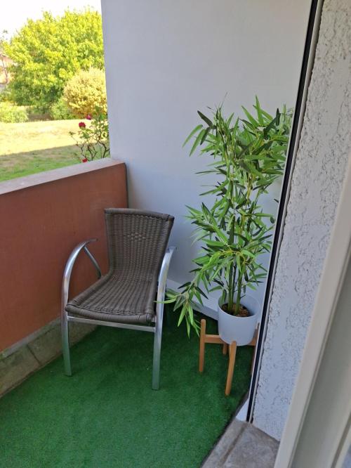 Dax - location curiste LC-4451 n°4