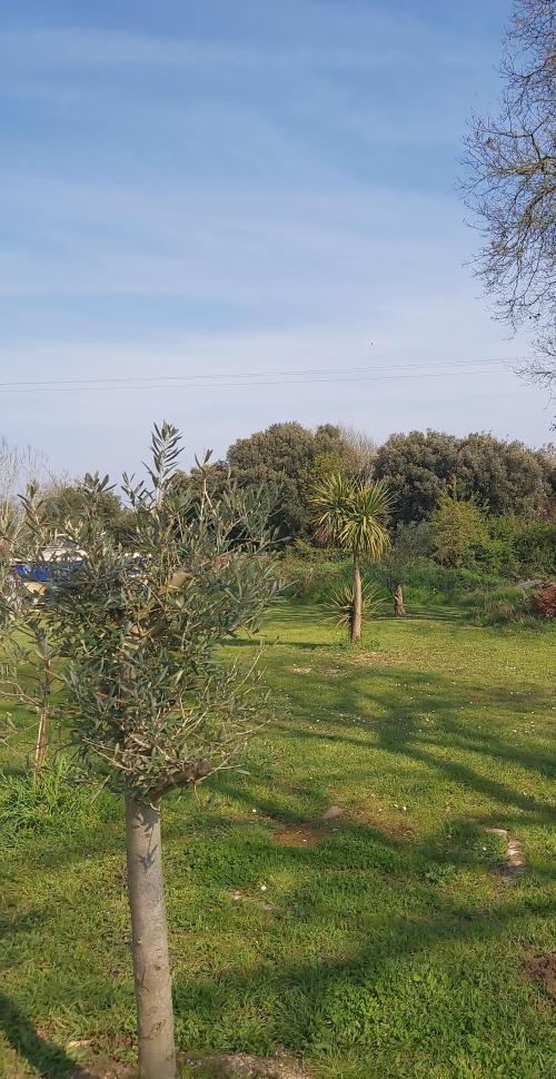 Soubise - location curiste LC-4458 n°9
