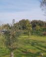 LC-4458 - petite photo n°9 de ce logement curiste