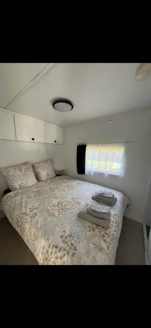 Cambo-les-Bains - location curiste LC-4468 n°6