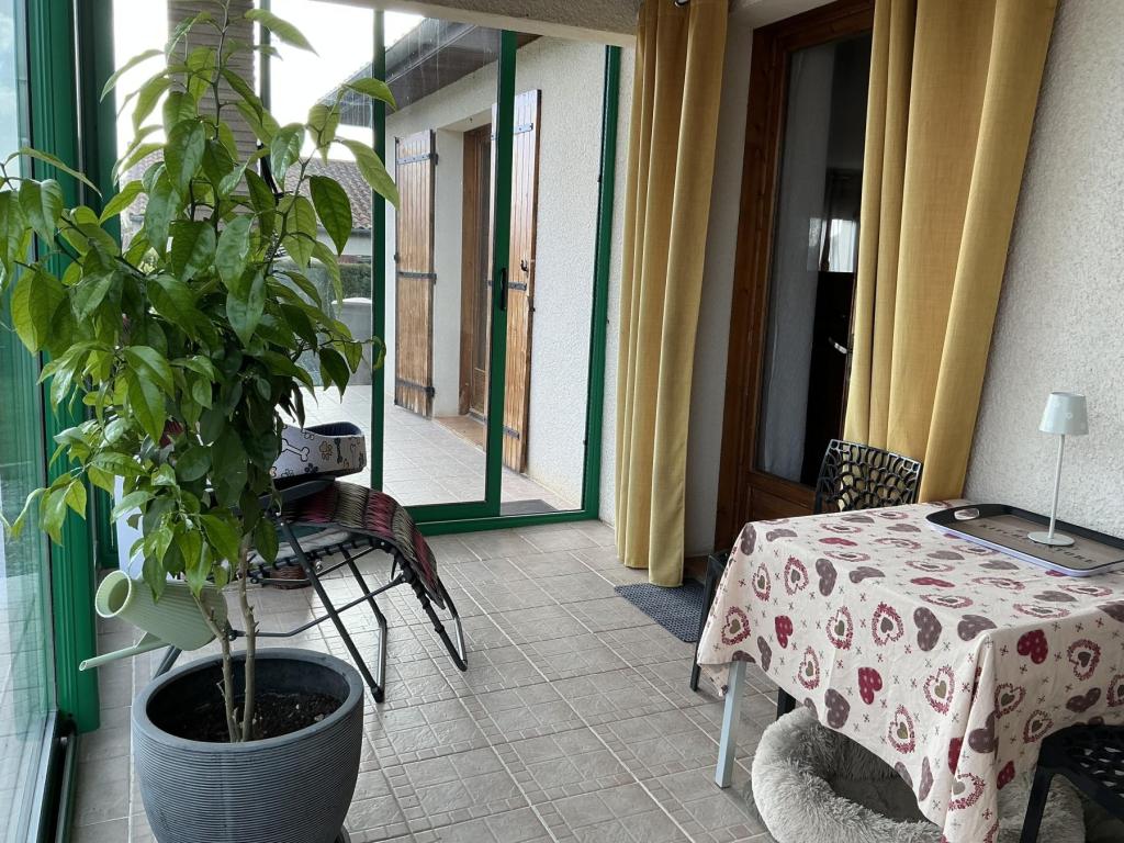 Casteljaloux - location curiste LC-4475 n°3