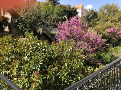 Photo n°8 du logement curiste LC-4480 à Amélie-les-Bains