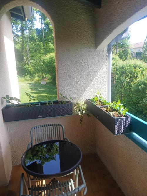 Barbotan-les-Thermes - location curiste LC-4494 n°7