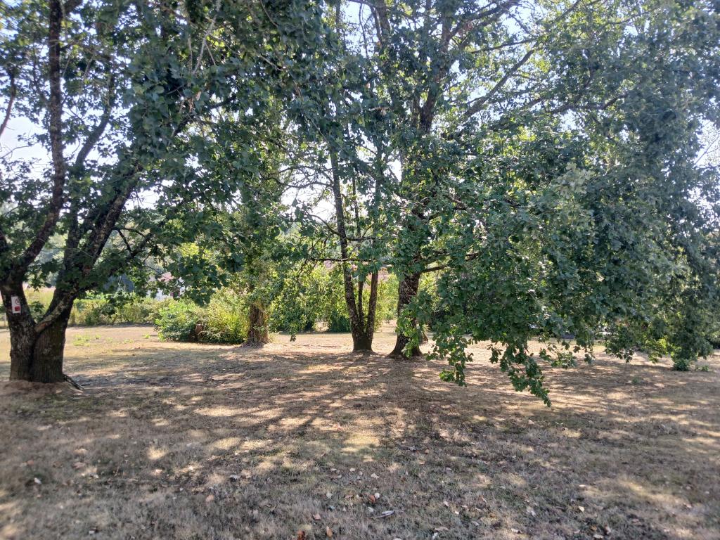 Barbotan-les-Thermes - location curiste LC-4494 n°9