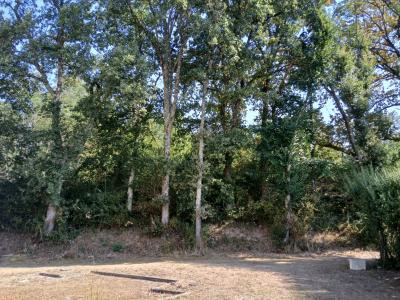 Photo n°11 du logement curiste LC-4494 à Barbotan-les-Thermes