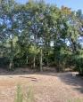 LC-4494 - petite photo n°11 de ce logement curiste