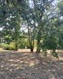 LC-4494 - petite photo n°9 de ce logement curiste