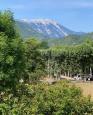 LC-4496 - petite photo n°1 de ce logement curiste