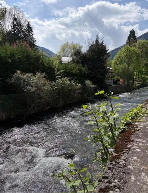 Bagnères-de-Luchon - location curiste LC-4510 n°11