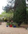 LC-4523 - petite photo n°1 de ce logement curiste