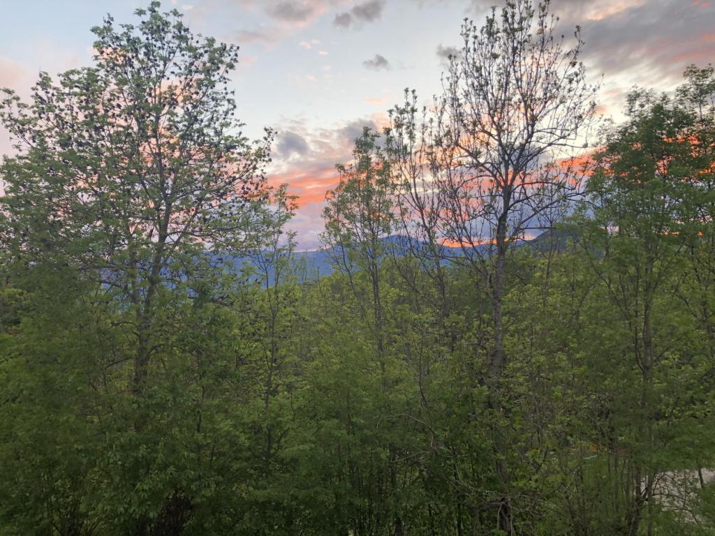 Saint-Martin-d'Uriage - location curiste LC-4533 n°12