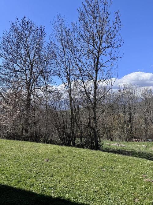 Saint-Martin-d'Uriage - location curiste LC-4533 n°13