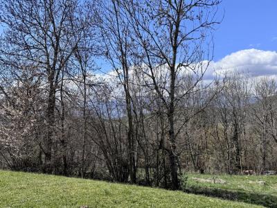 Photo n°13 du logement curiste LC-4533 à Saint-Martin-d'Uriage